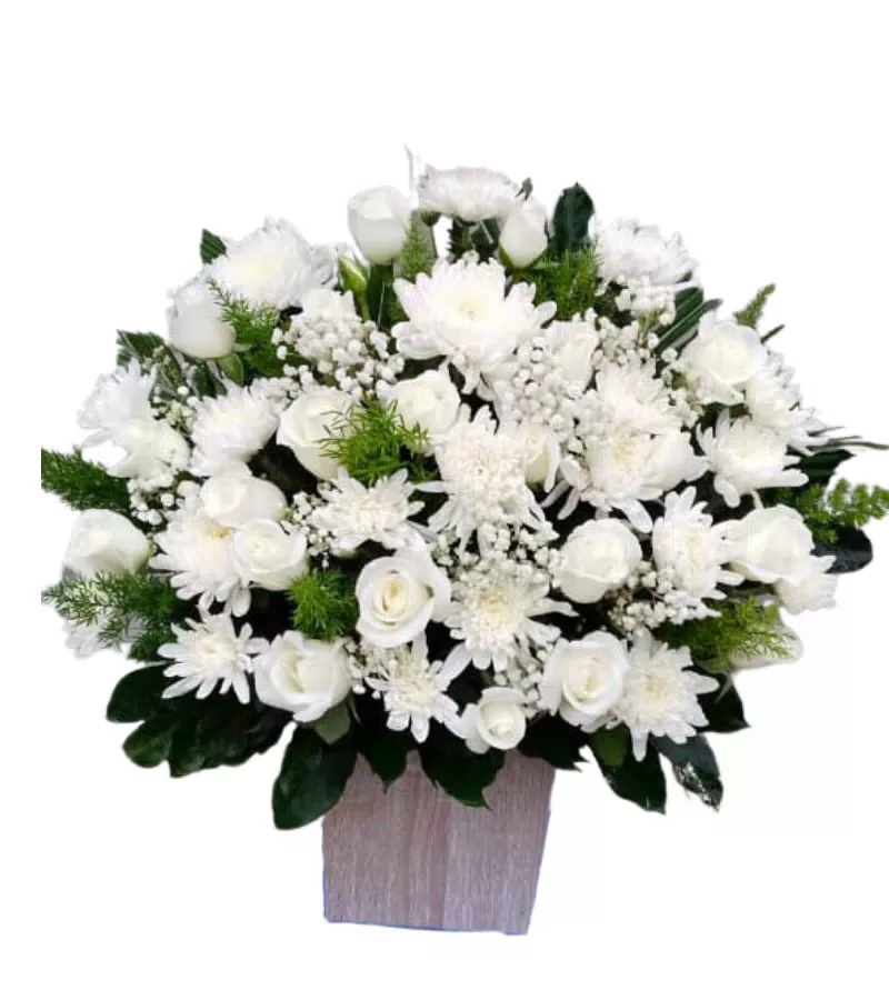 Giỏ Hoa Hồng Cúc Trắng Chậu Gỗ Thanh Nhã