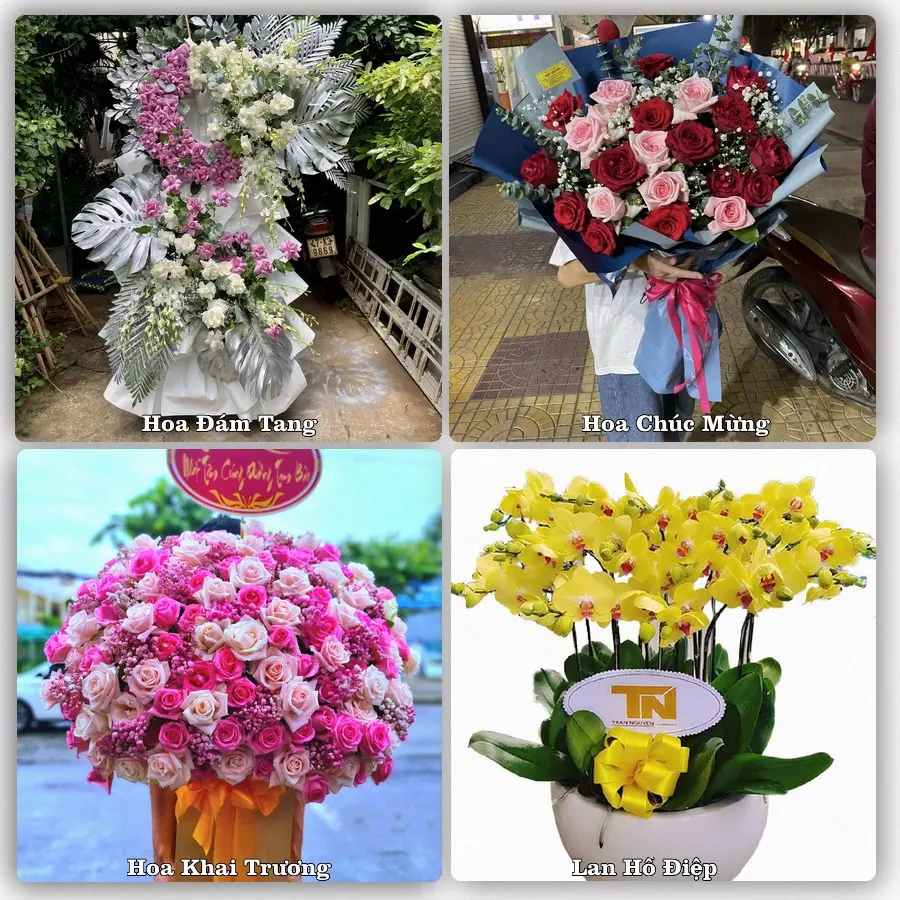 Tư vấn chọn hoa theo người nhận và dịp tặng tại Phường Chánh Phú Hòa - Thành phố Hồ Chí Minh