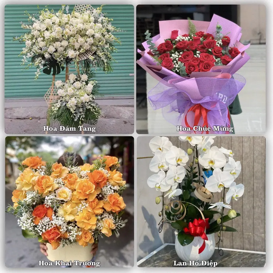 Mẫu hoa phục vụ nhu cầu đặt hoa tại Phường Châu Sơn - Tỉnh Ninh Bình