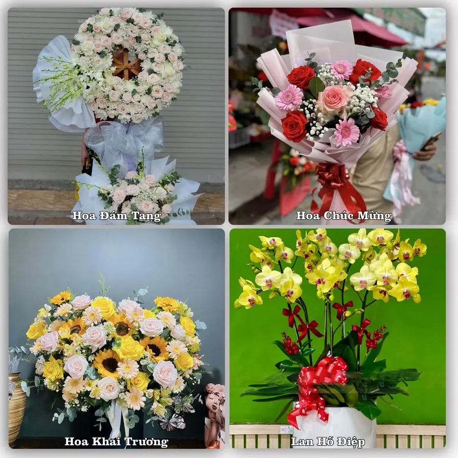 Tư vấn chọn hoa theo người nhận và dịp tặng tại Phường Châu Sơn - Tỉnh Ninh Bình