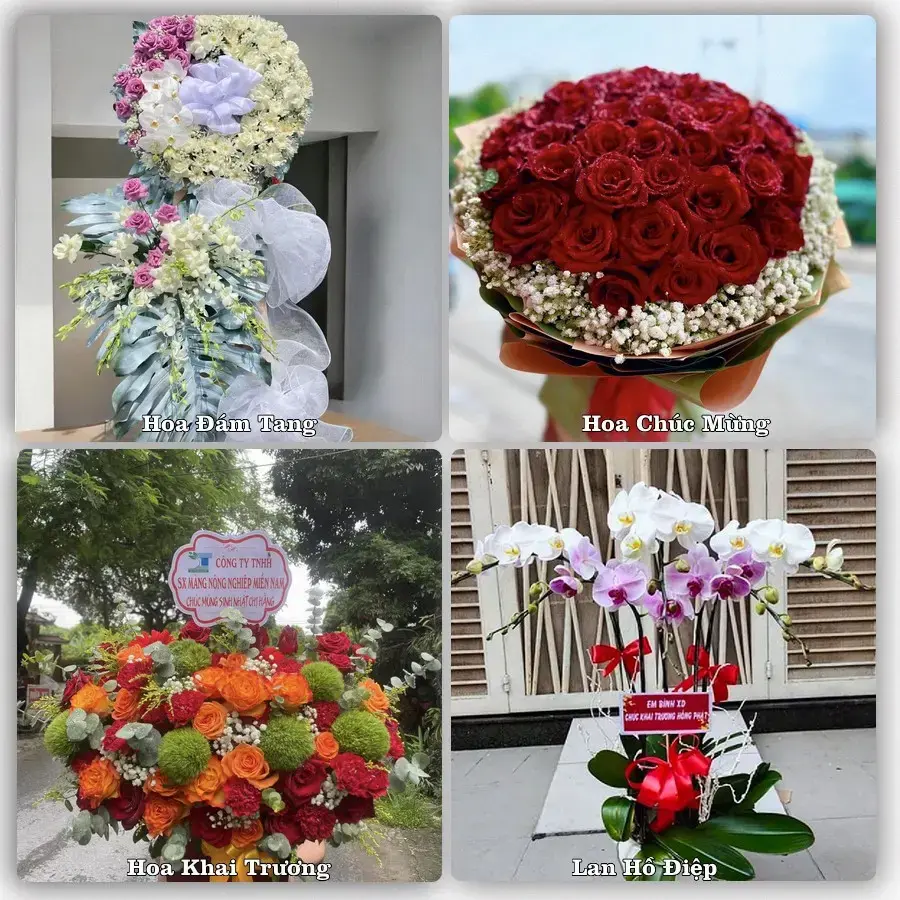 Tư vấn chọn hoa theo người nhận và dịp tặng tại Xã Củ Chi - Thành phố Hồ Chí Minh