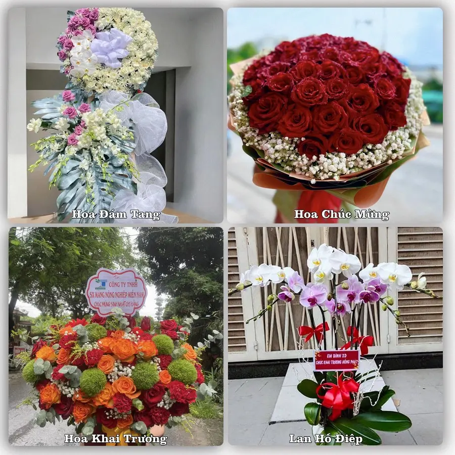 Tư vấn chọn hoa theo người nhận và dịp tặng tại Xã Củ Chi - Thành phố Hồ Chí Minh