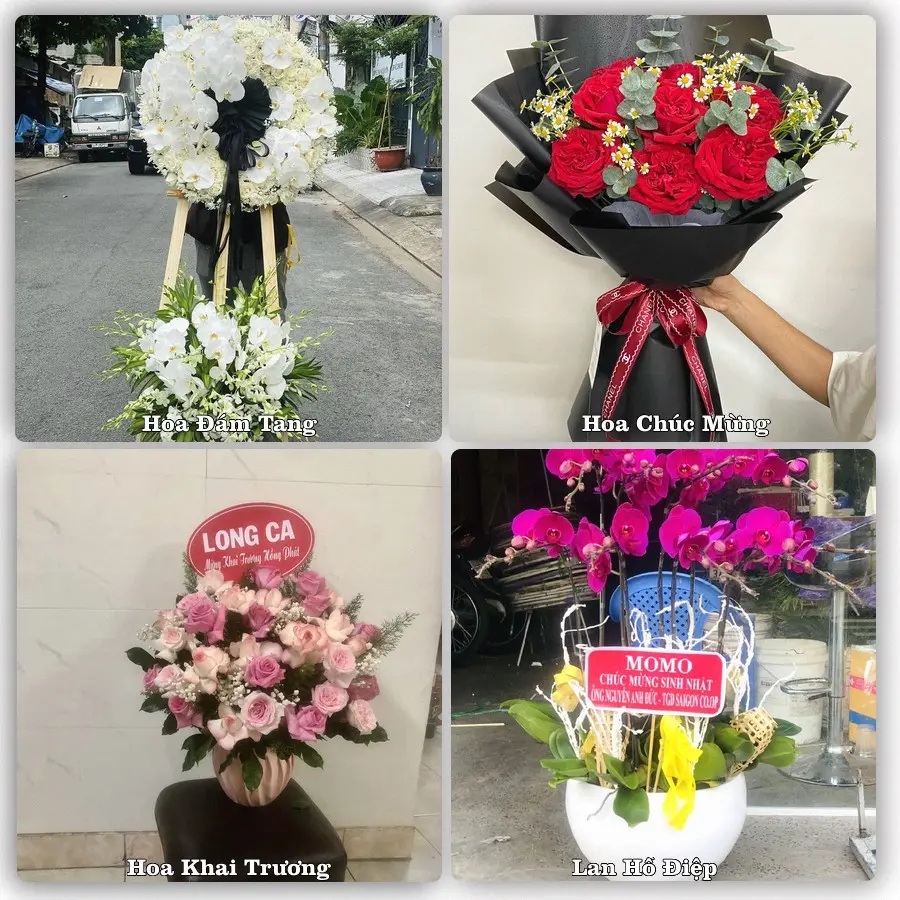 Dịch vụ đặt hoa và giao tận nơi tại Xã Hòa Phú - Thành phố Hà Nội