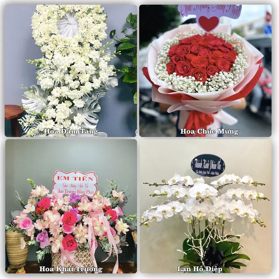 Mẫu hoa phục vụ nhu cầu đặt hoa tại Xã Hòa Phú - Thành phố Hà Nội