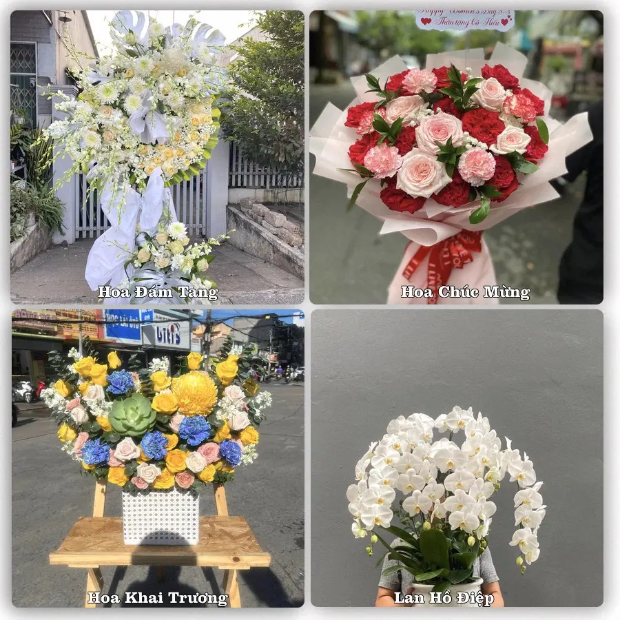 Mẫu hoa phục vụ nhu cầu đặt hoa tại Xã Kế Sách - Thành phố Cần Thơ