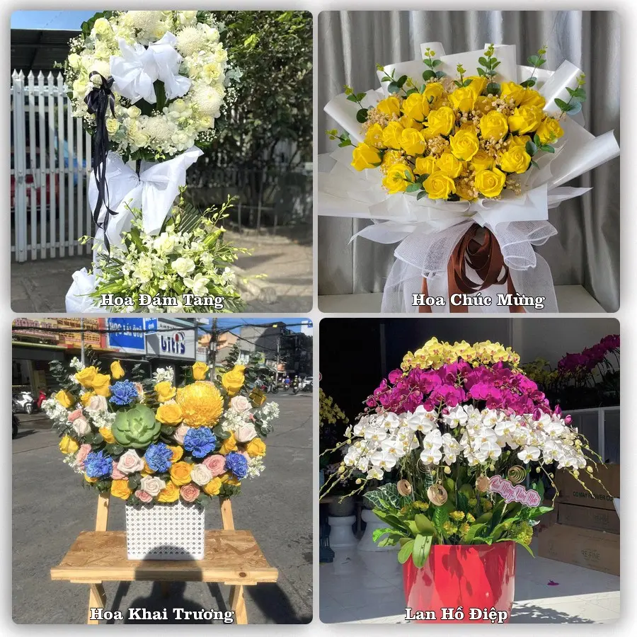 Tư vấn chọn hoa theo người nhận và dịp tặng tại Xã Kế Sách - Thành phố Cần Thơ