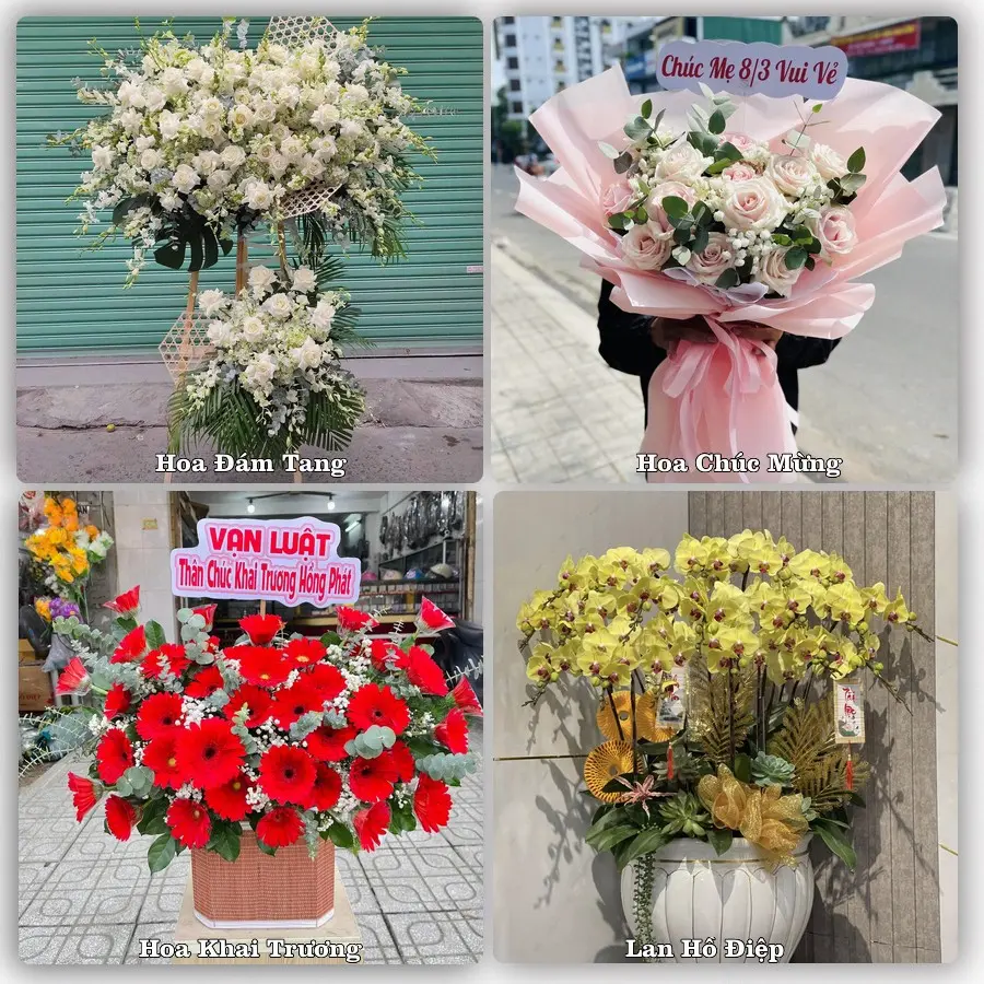 Tư vấn chọn hoa theo người nhận và dịp tặng tại Phường Long Tuyền - Thành phố Cần Thơ