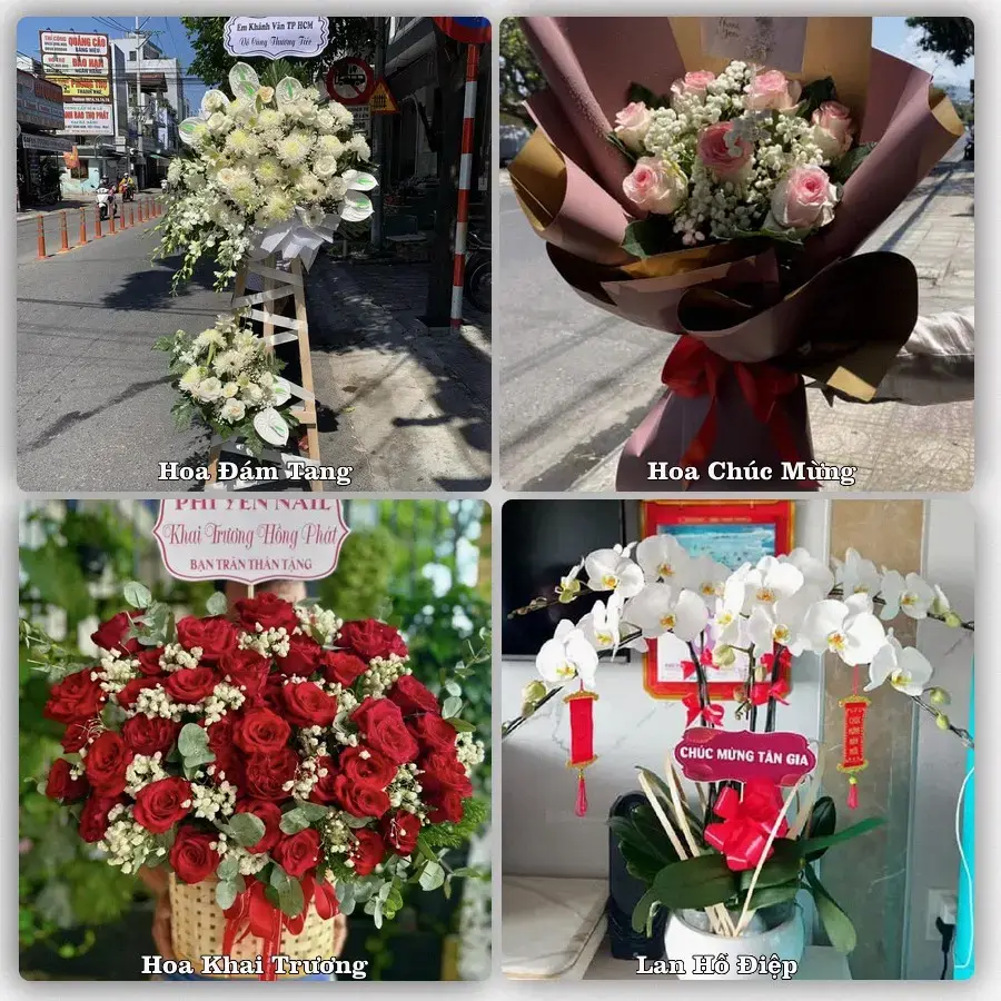 Shop hoa tươi Xã Lương Hòa Lạc, Đồng Tháp – đặt hoa theo dịp, giao tận nơi