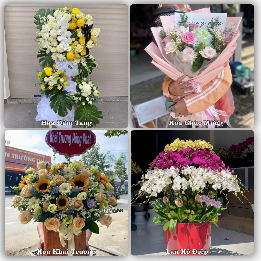 Tư vấn chọn hoa theo người nhận và dịp tặng tại Xã Lương Hòa Lạc - Tỉnh Đồng Tháp