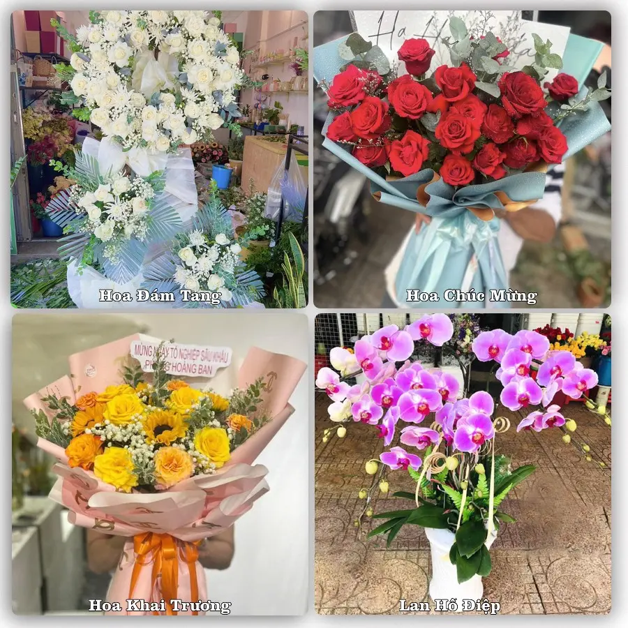 Tư vấn chọn hoa theo người nhận và dịp tặng tại Xã Nam Sách - Thành phố Hải Phòng