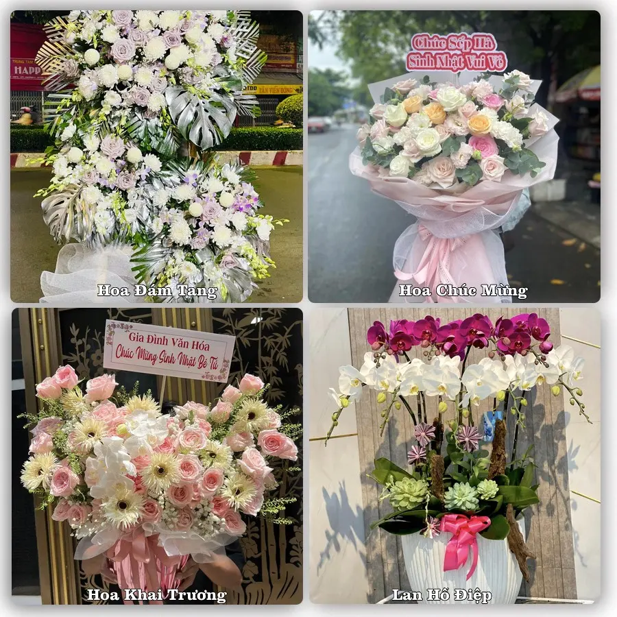 Tư vấn chọn hoa theo người nhận và dịp tặng tại Xã Nhơn Mỹ - Tỉnh An Giang
