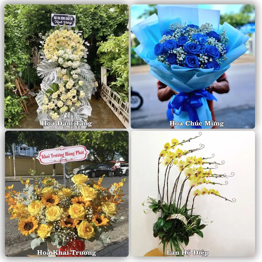 Mẫu hoa phục vụ nhu cầu đặt hoa tại Xã Phụ Dực - Tỉnh Hưng Yên