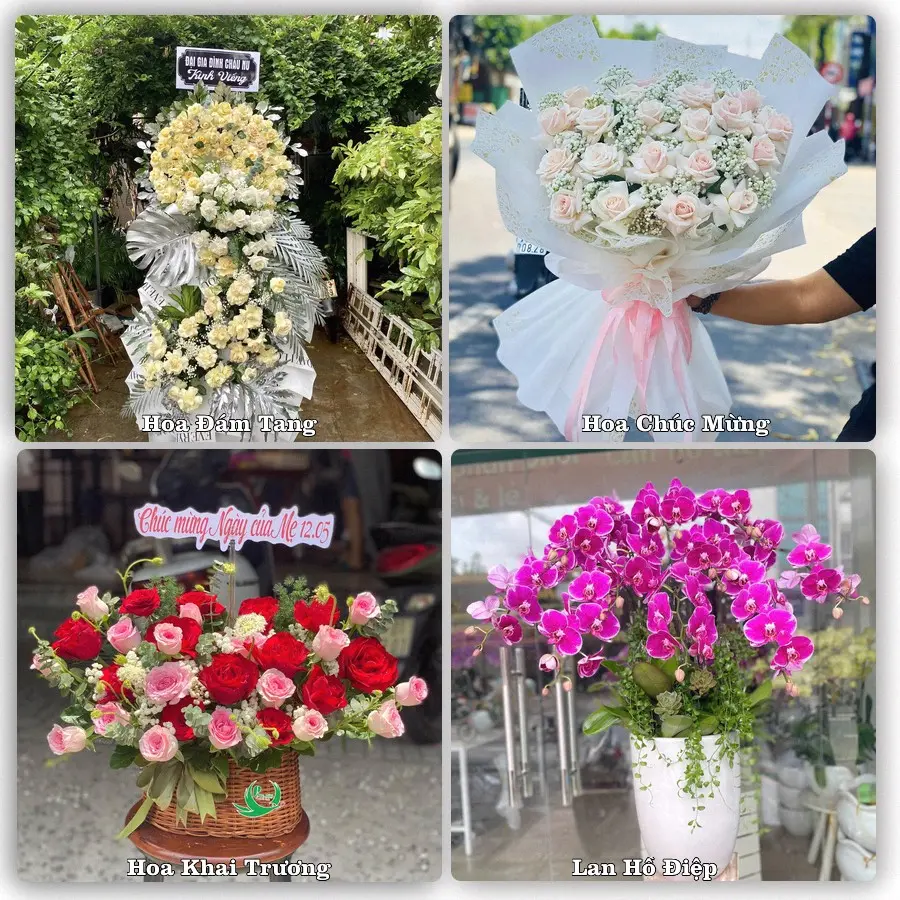 Dịch vụ đặt hoa và giao tận nơi tại Phường Thái Bình - Tỉnh Hưng Yên