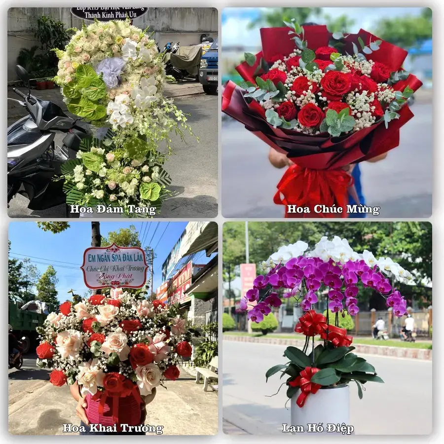 Shop hoa tươi Phường Thái Bình, Hưng Yên – đặt hoa theo dịp, giao tận nơi
