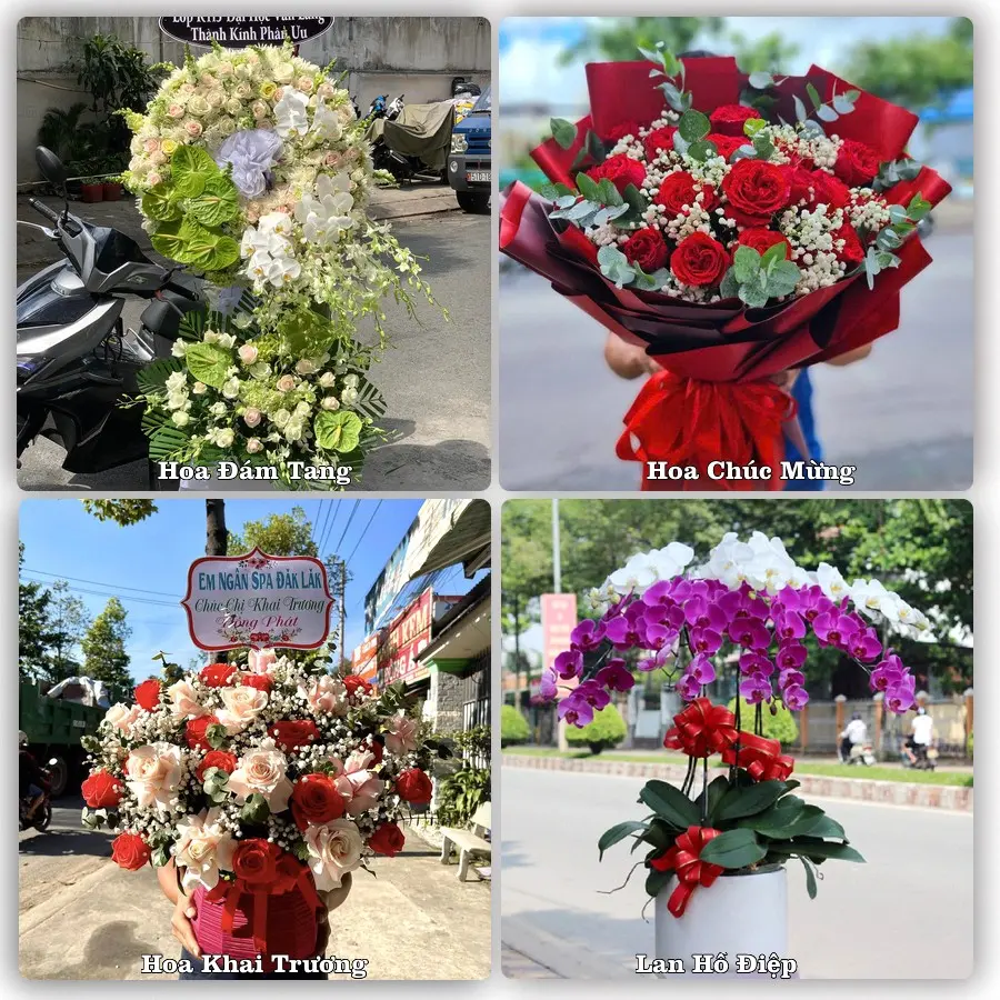 Mẫu hoa phục vụ nhu cầu đặt hoa tại Phường Thái Bình - Tỉnh Hưng Yên