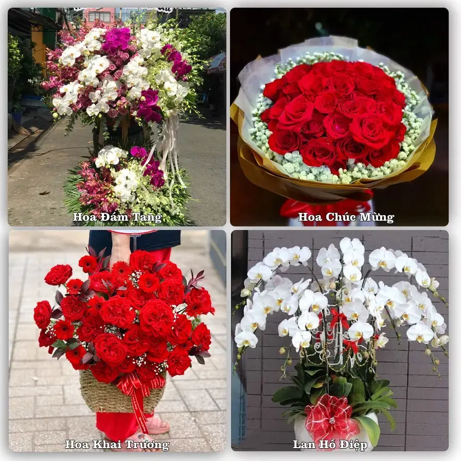 Tư vấn chọn hoa theo người nhận và dịp tặng tại Xã Vĩnh Am - Thành phố Hải Phòng