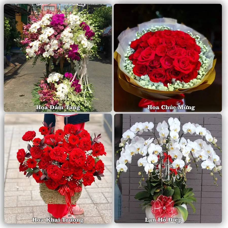 Tư vấn chọn hoa theo người nhận và dịp tặng tại Xã Vĩnh Am - Thành phố Hải Phòng