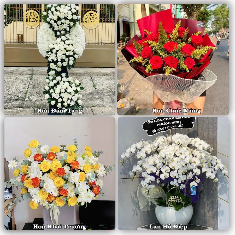 Tư vấn chọn hoa theo người nhận và dịp tặng tại Phường An Tịnh - Tỉnh Tây Ninh