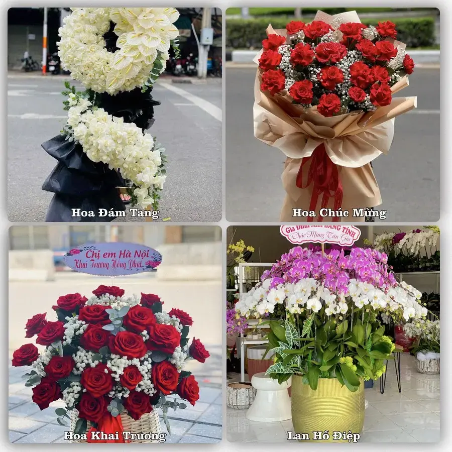 Tư vấn chọn hoa theo người nhận và dịp tặng tại Phường Bỉm Sơn - Tỉnh Thanh Hóa