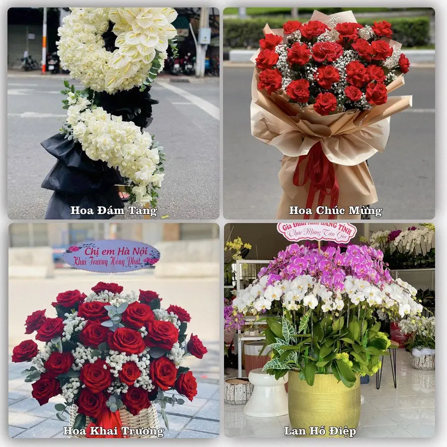 Tư vấn chọn hoa theo người nhận và dịp tặng tại Phường Bỉm Sơn - Tỉnh Thanh Hóa