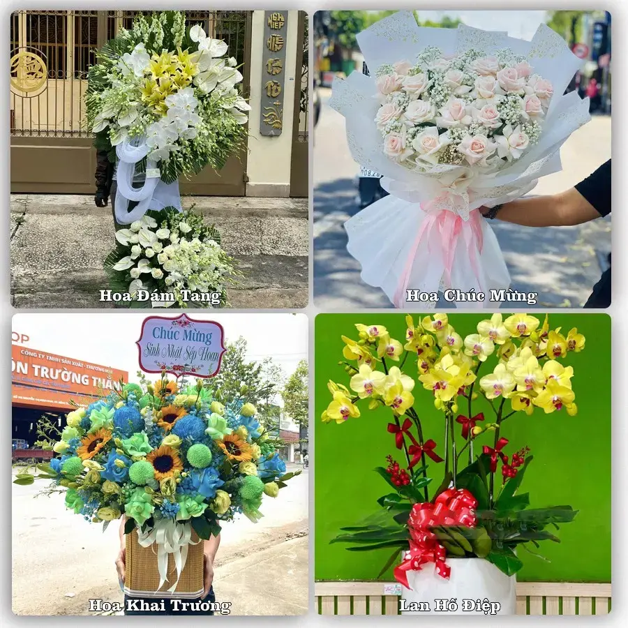 Tư vấn chọn hoa theo người nhận và dịp tặng tại Xã Dầu Giây - Tỉnh Đồng Nai