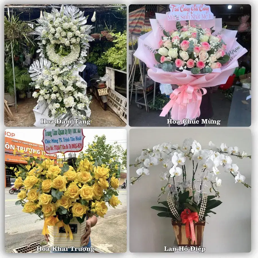 Shop hoa tươi Phường Điện Bàn Đông, Đà Nẵng – đặt hoa theo dịp, giao tận nơi