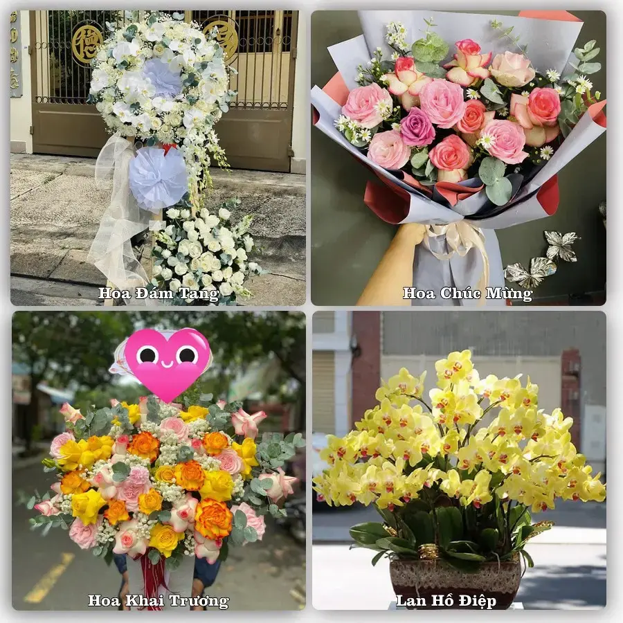 Tư vấn chọn hoa theo người nhận và dịp tặng tại Phường Điện Bàn Đông - Thành phố Đà Nẵng