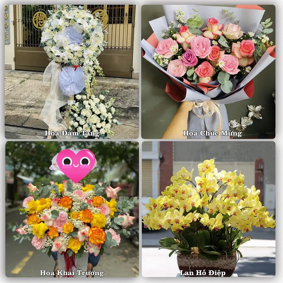 Tư vấn chọn hoa theo người nhận và dịp tặng tại Phường Điện Bàn Đông - Thành phố Đà Nẵng