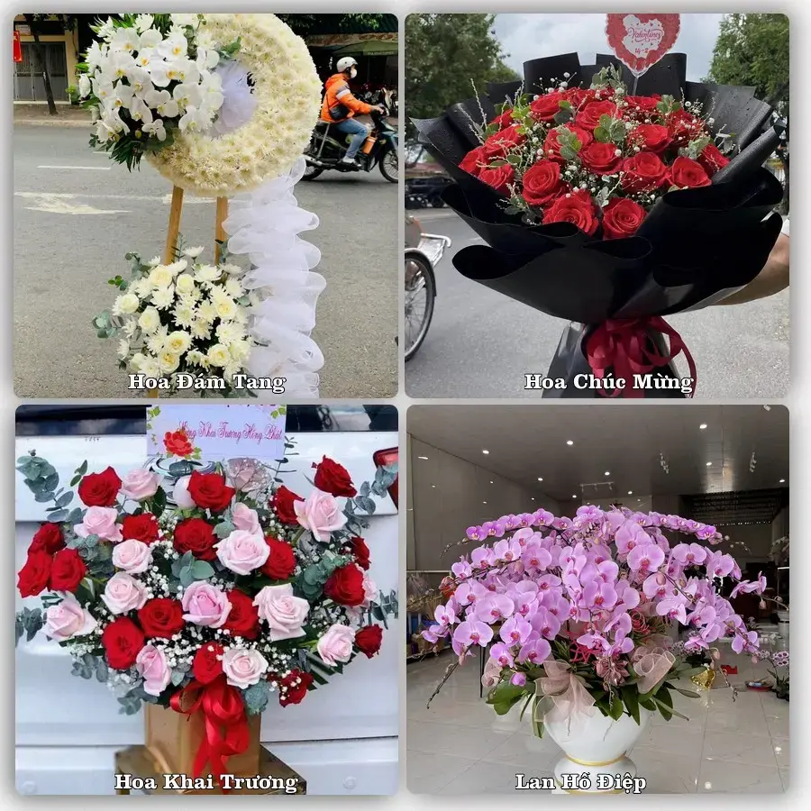 Shop hoa tươi Xã Hải Châu, Nghệ An – giao hoa tận nơi theo yêu cầu