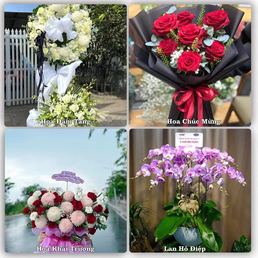 Dịch vụ đặt hoa và giao tận nơi tại Xã Hải Tiến - Tỉnh Ninh Bình