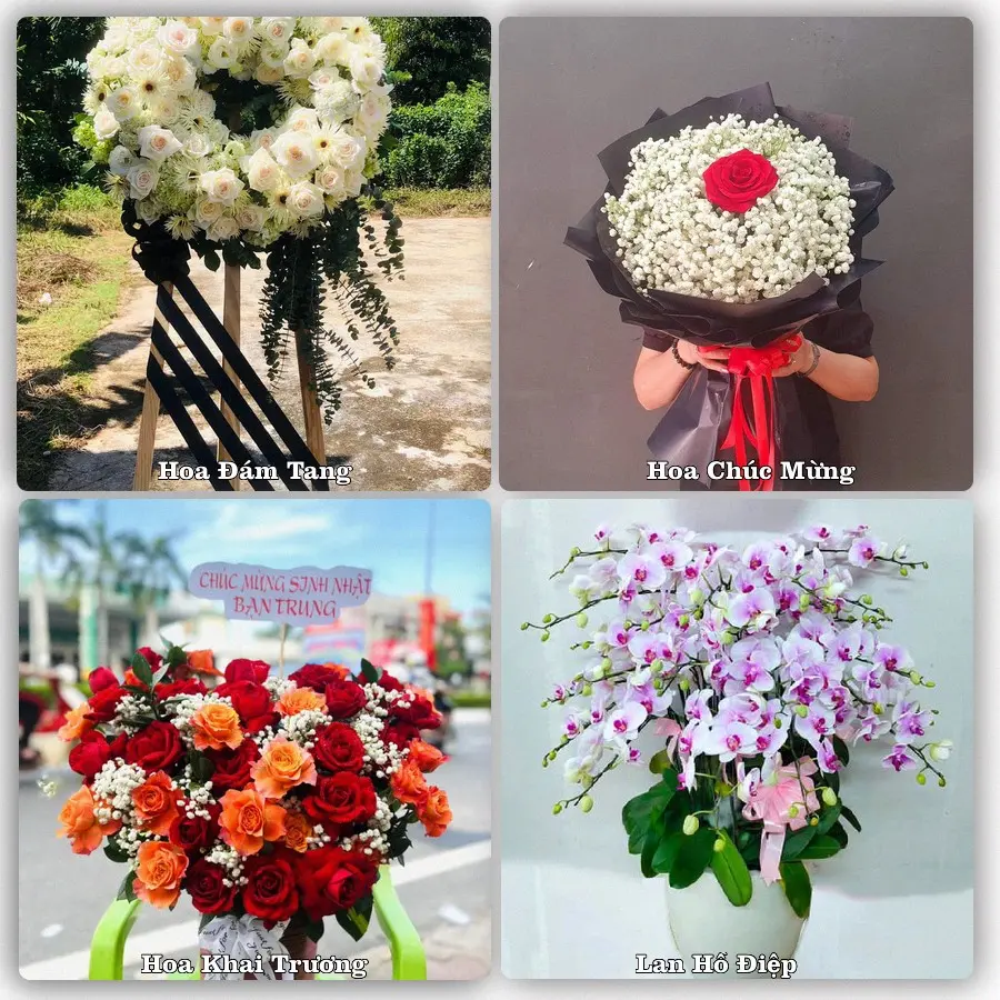 Mẫu hoa phục vụ nhu cầu đặt hoa tại Xã Hải Tiến - Tỉnh Ninh Bình
