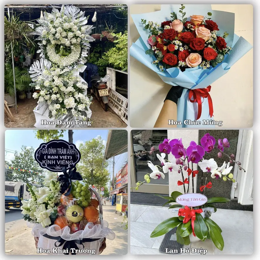 Tư vấn chọn hoa theo người nhận và dịp tặng tại Xã Hải Tiến - Tỉnh Ninh Bình