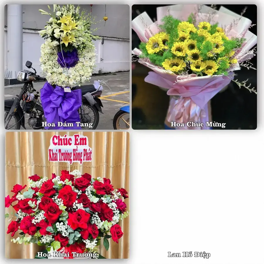 Shop hoa tươi Phường Liên Chiểu, Đà Nẵng – đặt hoa theo dịp, giao tận nơi
