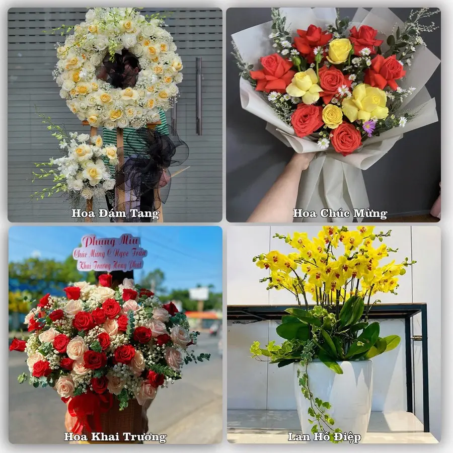 Tư vấn chọn hoa theo người nhận và dịp tặng tại Xã Phú Hữu - Thành phố Cần Thơ