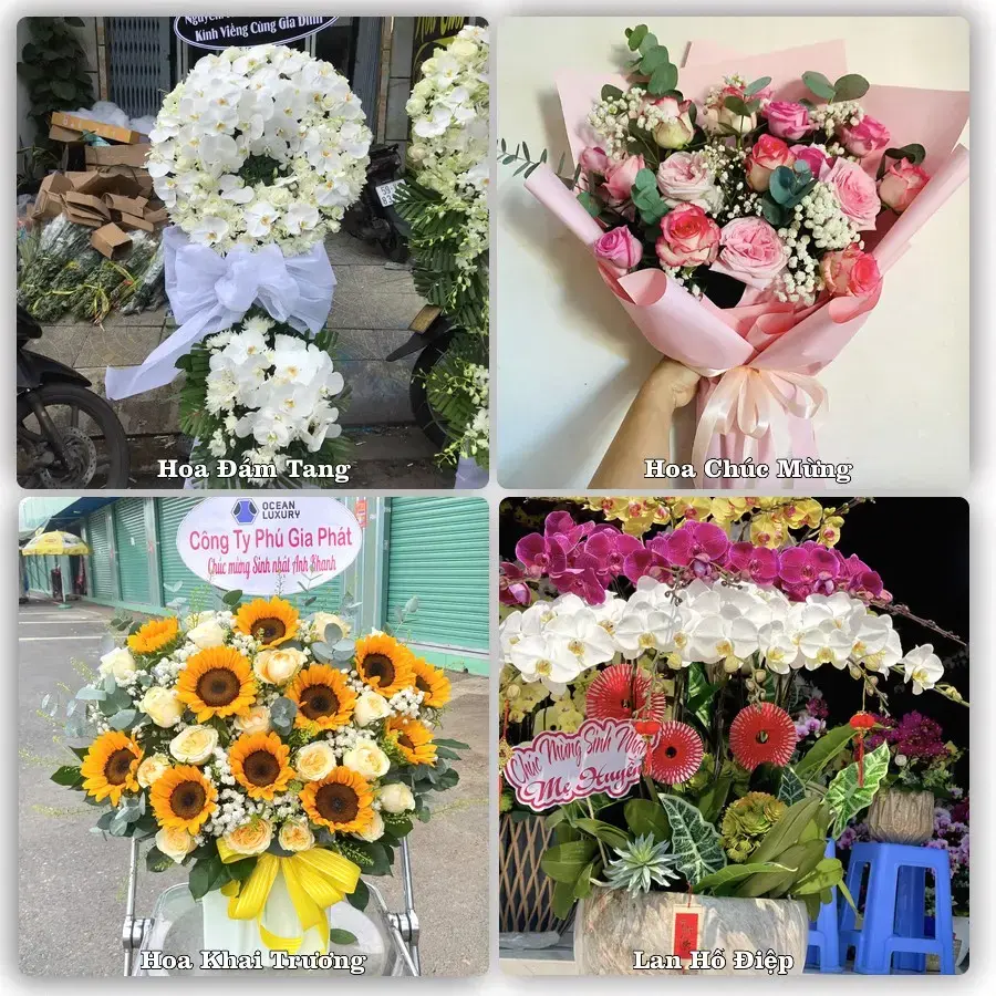 Shop hoa tươi Xã Phượng Dực, Hà Nội – giao hoa tận nơi theo yêu cầu