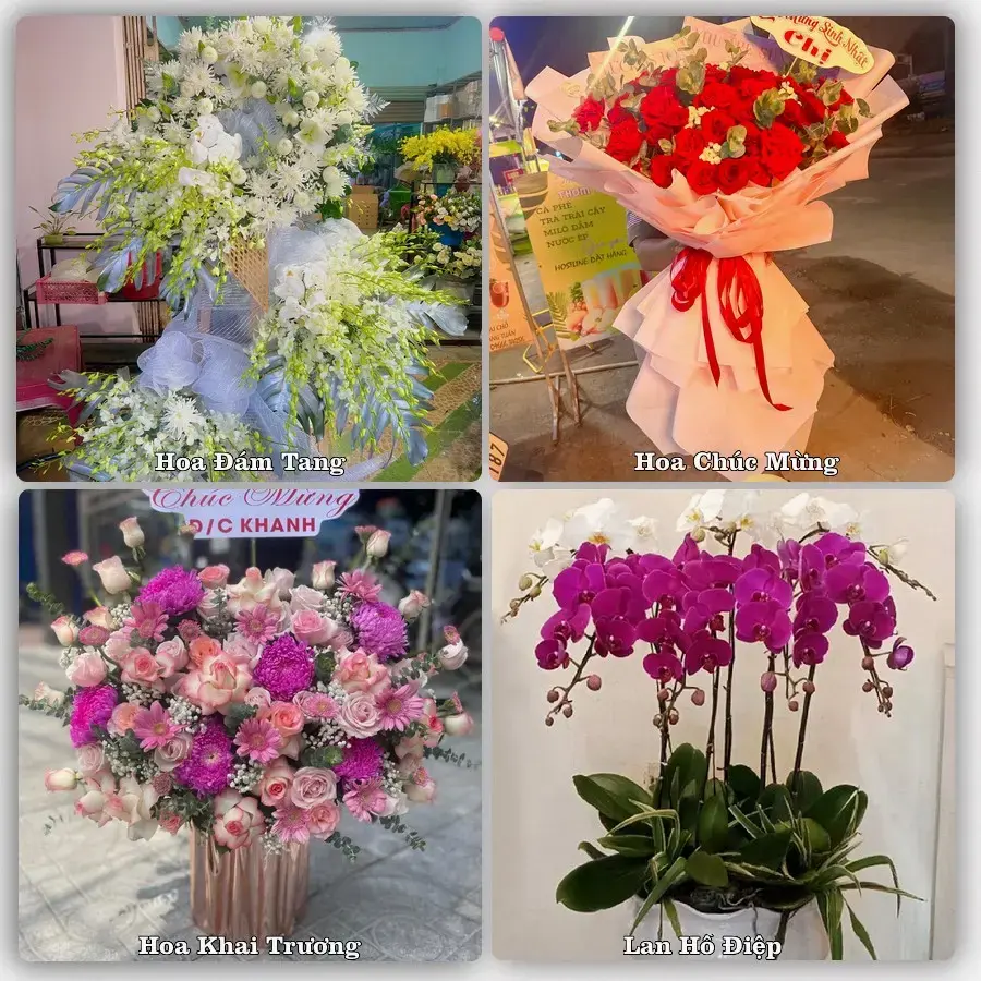 Dịch vụ đặt hoa và giao tận nơi tại Phường Quang Trung - Tỉnh Thanh Hóa