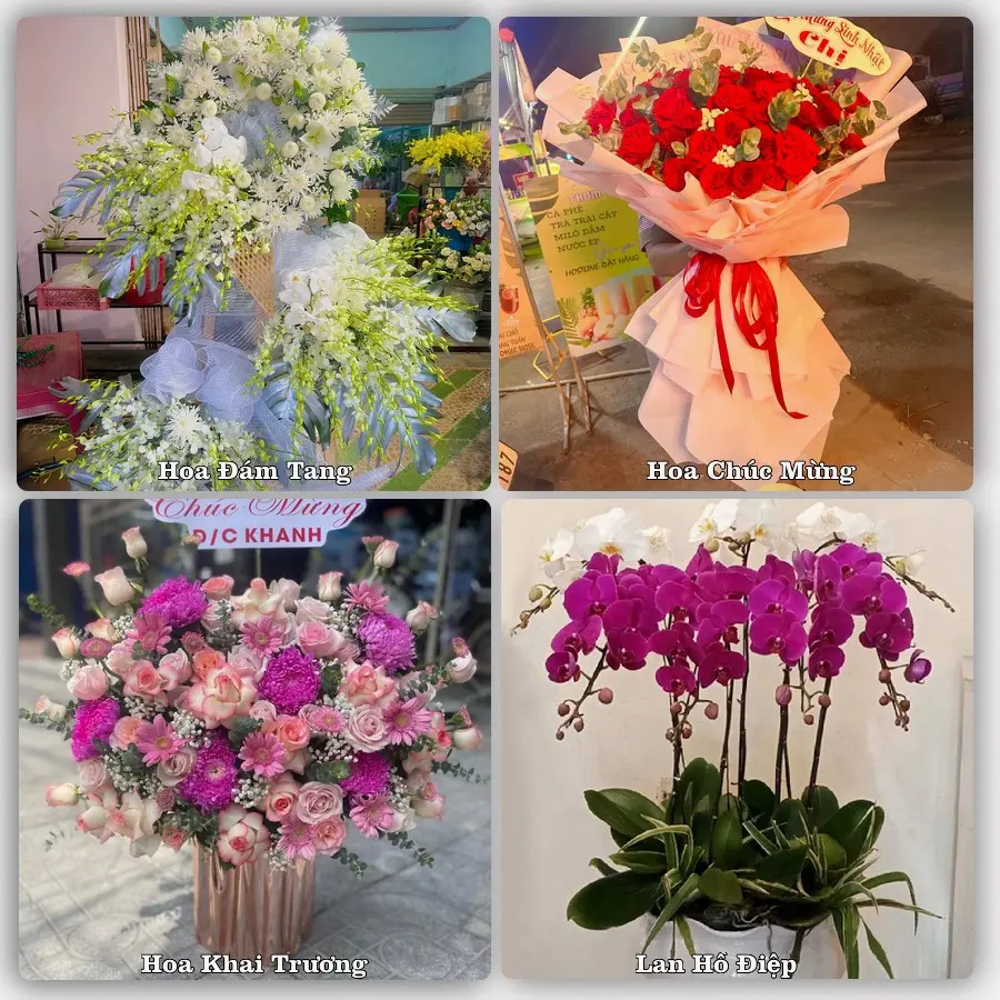 Dịch vụ đặt hoa và giao tận nơi tại Phường Quang Trung - Tỉnh Thanh Hóa