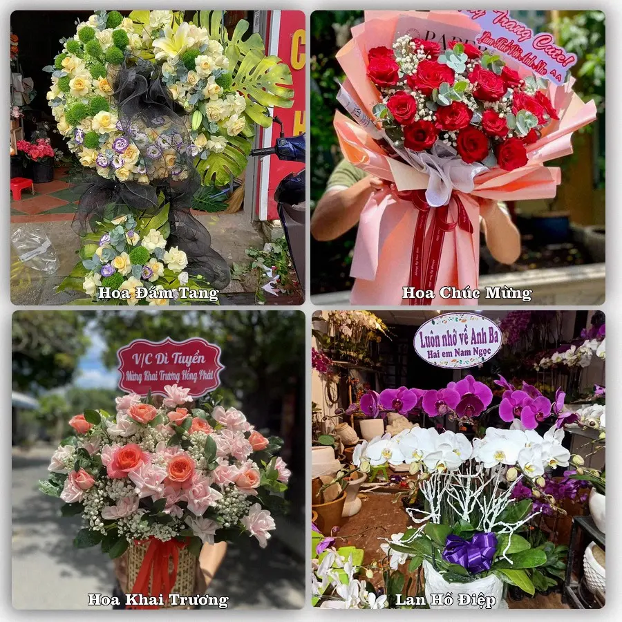 Tư vấn chọn hoa theo người nhận và dịp tặng tại Phường Quang Trung - Tỉnh Thanh Hóa