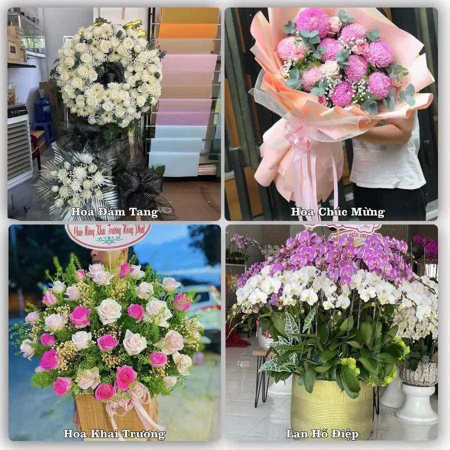 Tư vấn chọn hoa theo người nhận và dịp tặng tại Phường Việt Trì - Tỉnh Phú Thọ