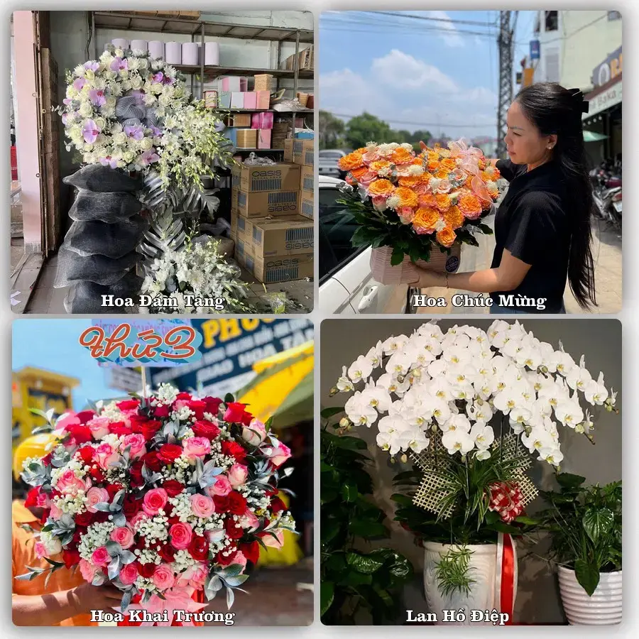 Shop hoa tươi Phường Xuân Hương, Đà Lạt – Tỉnh Lâm Đồng – giao hoa tận nơi theo yêu cầu