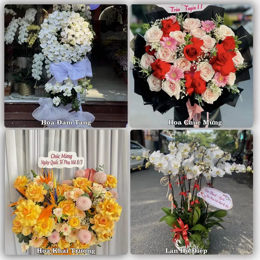 Tư vấn chọn hoa theo người nhận và dịp tặng tại Phường Xuân Hương - Đà Lạt - Tỉnh Lâm Đồng