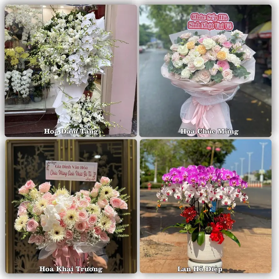 Mẫu hoa phục vụ nhu cầu đặt hoa tại Xã Bình Hòa - Tỉnh An Giang