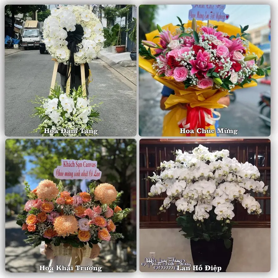 Tư vấn chọn hoa theo người nhận và dịp tặng tại Xã Bình Hòa - Tỉnh An Giang