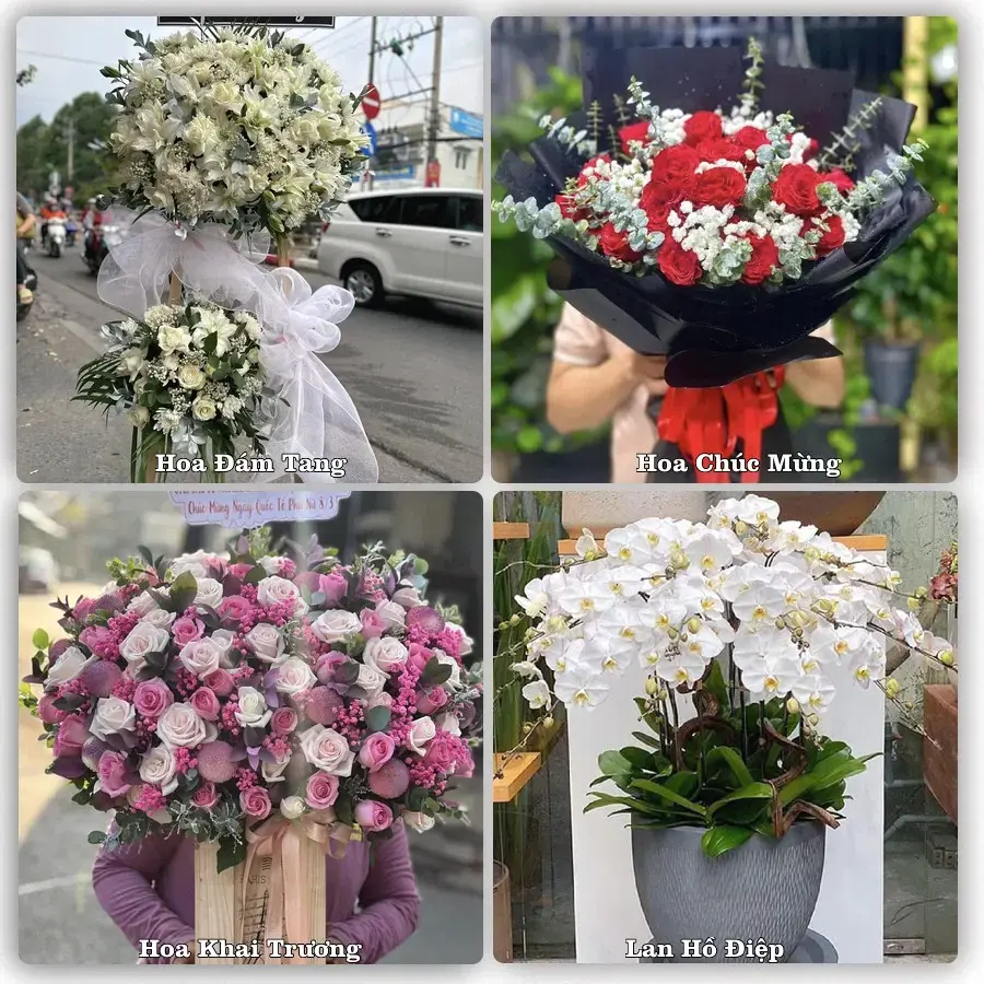 Đặt hoa tươi tại Phường Cam Linh, Khánh Hòa – chọn mẫu theo ngân sách