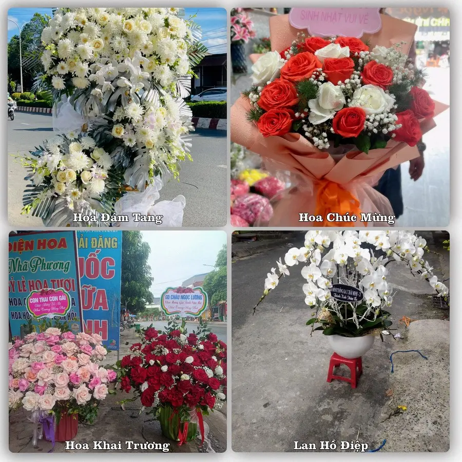 Tư vấn chọn hoa theo người nhận và dịp tặng tại Phường Cam Linh - Tỉnh Khánh Hòa