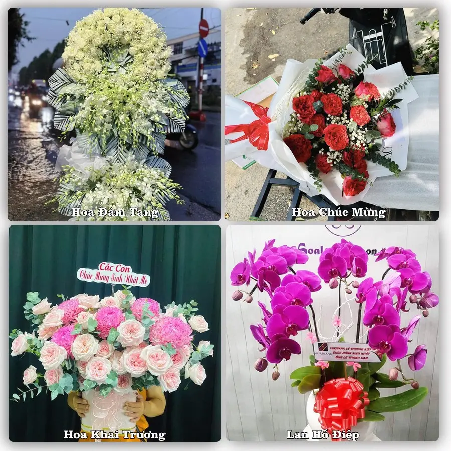 Tư vấn chọn hoa theo người nhận và dịp tặng tại Xã Hoa Lộc - Tỉnh Thanh Hóa