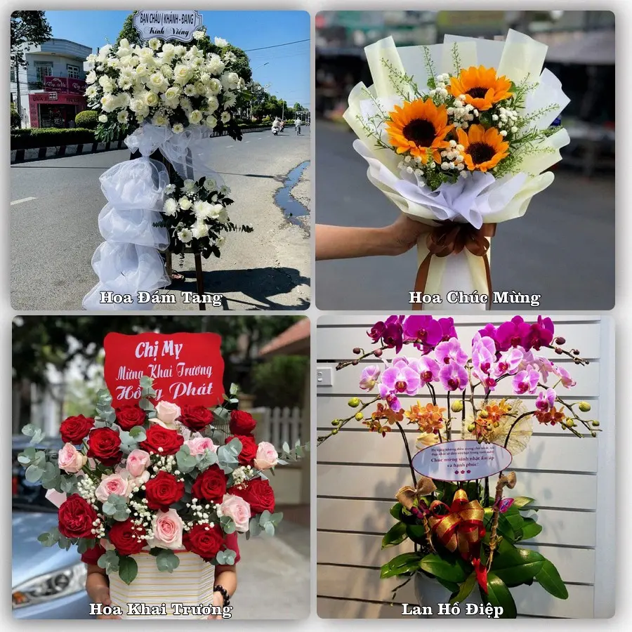 Tư vấn chọn hoa theo người nhận và dịp tặng tại Phường Hưng Đạo - Thành phố Hải Phòng