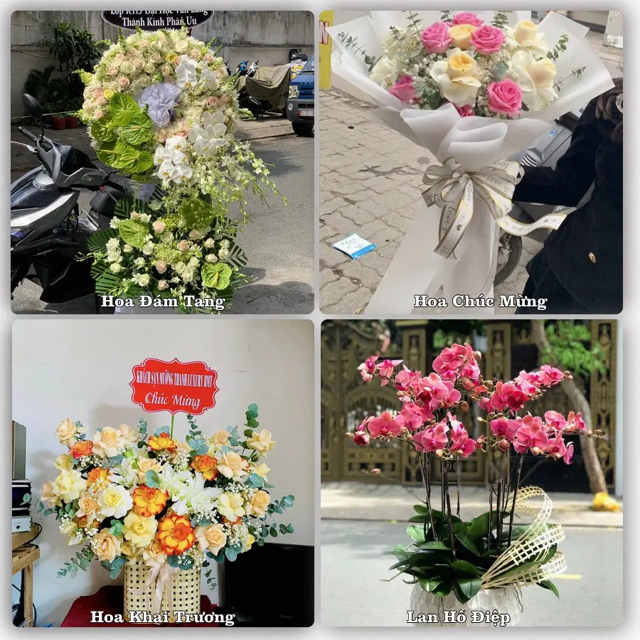 Mẫu hoa phục vụ nhu cầu đặt hoa tại Phường Lĩnh Nam - Thành phố Hà Nội