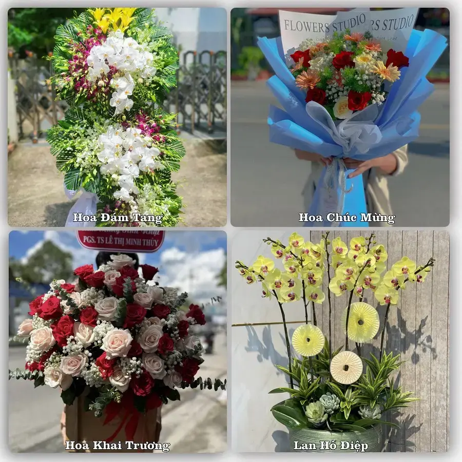 Đặt hoa tươi tại Xã Long Kiến, An Giang – chọn mẫu theo ngân sách