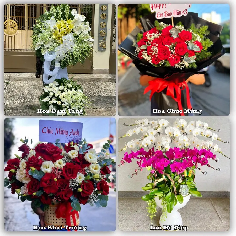 Tư vấn chọn hoa theo người nhận và dịp tặng tại Xã Long Kiến - Tỉnh An Giang
